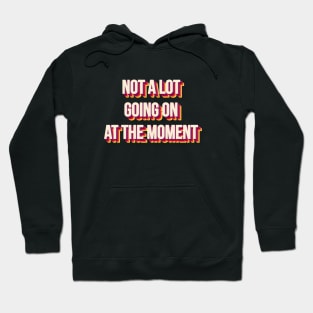 NOT A LOT GOING ON AT THE MOMENT Hoodie